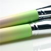 12PCS Three Colors Makeup Brush Set