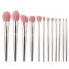 12PCS Metallic Finish Makeup Brush Set