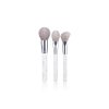 7PCS Daisy Travel Makeup Brush Set