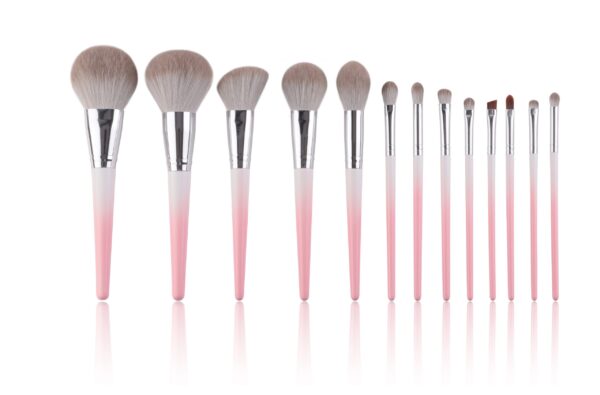 13PCS Gradient Pink Makeup Brush Set