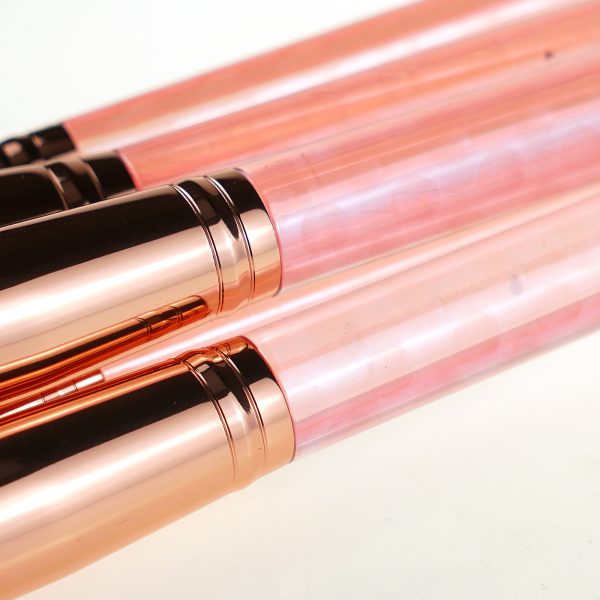 2269 (1) 10PCS Pink Jelly Makeup Brush Set