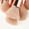 2277 (1) 10PCS Pink Jelly Makeup Brush Set